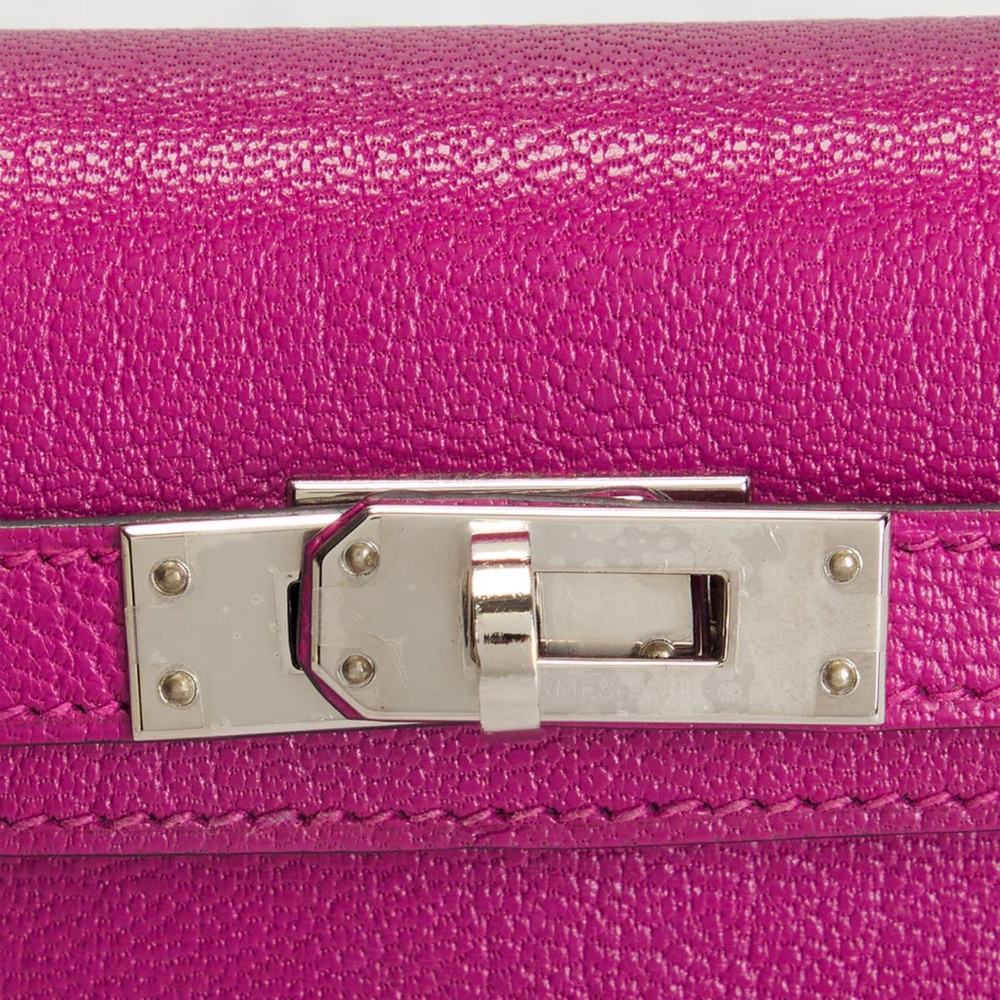 Hermes Chèvre Kelly 20 Handbag - Picture 10 of 11